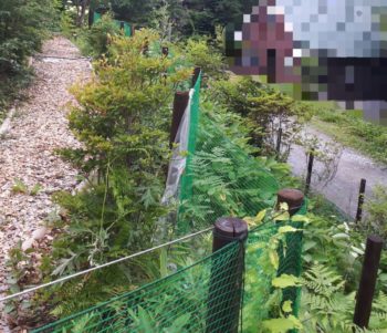 北杜市小淵沢町にて、ドッグランの丸太フェンス塗装🍀